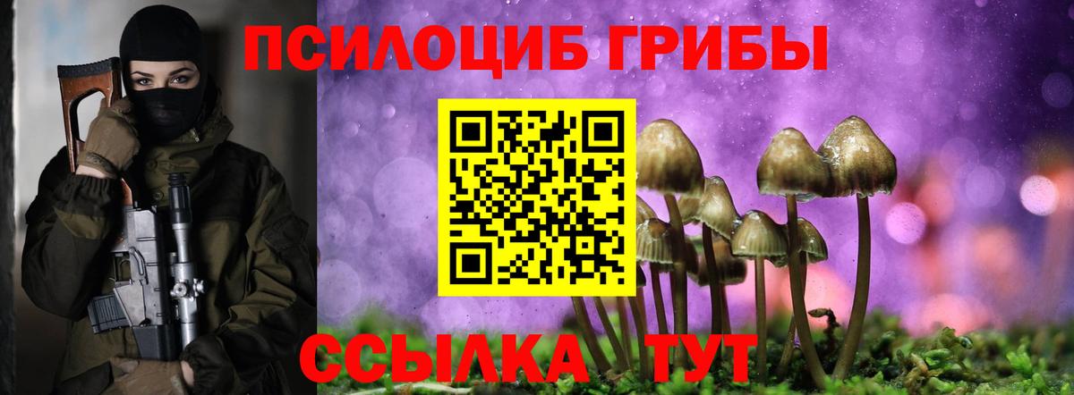 Псилоцибиновые грибы GOLDEN TEACHER Боровичи