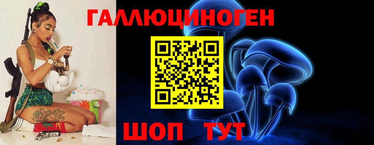 Боровичи  Псилоцибиновые грибы MAGIC MUSHROOMS  Вход с VPN 